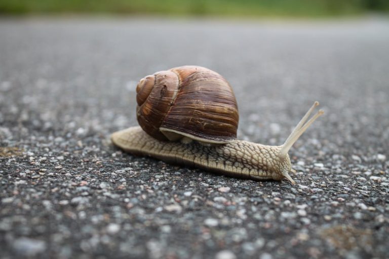 6 Tips for Speeding Up Your Content Review Process